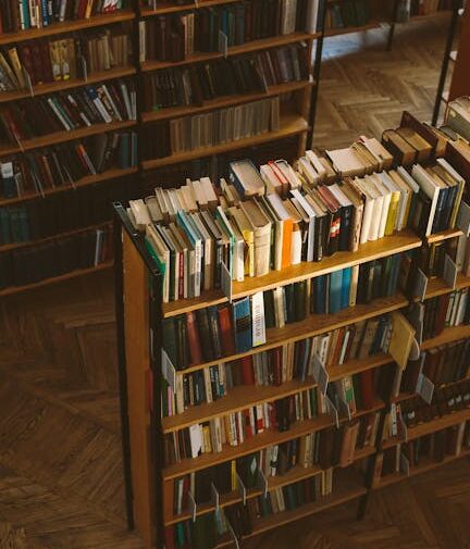 pexels photo 3747553 3747553 e1772046199988.jpg